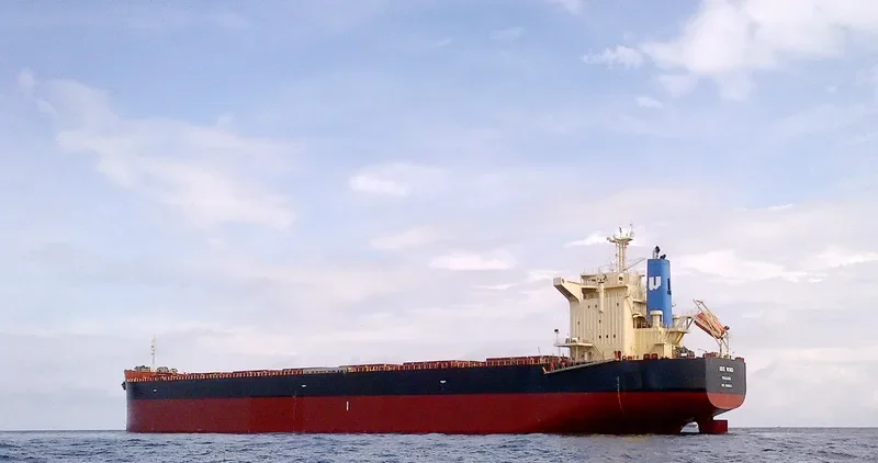 GRAMPUS CHARM Bulk Carrier IMO 9665932 photo 3