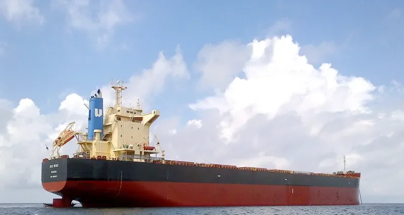 GRAMPUS CHARM Bulk Carrier IMO 9665932 photo 4
