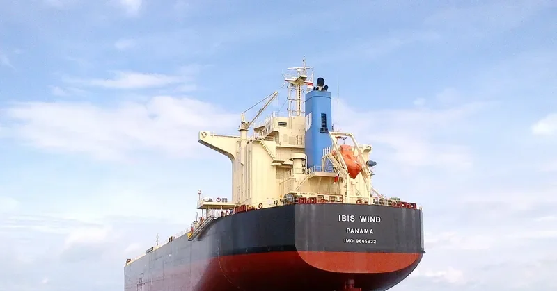 GRAMPUS CHARM Bulk Carrier IMO 9665932 photo 5
