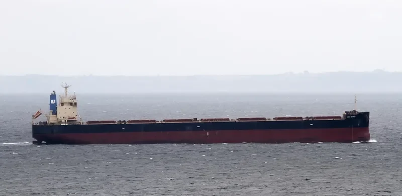 GRAMPUS CHARM Bulk Carrier IMO 9665932 photo 6