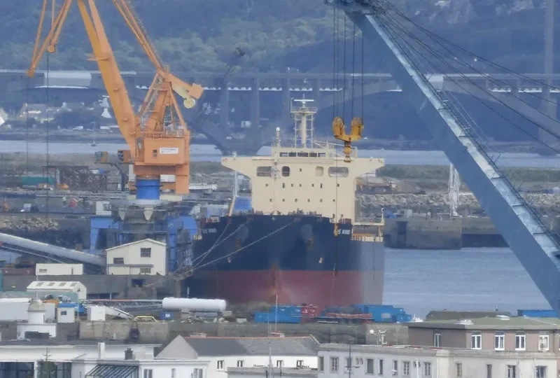 GRAMPUS CHARM Bulk Carrier IMO 9665932 photo 8