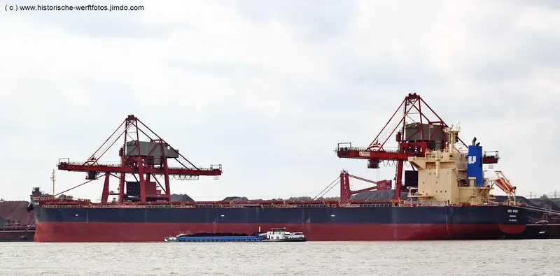 GRAMPUS CHARM Bulk Carrier IMO 9665932 photo 10