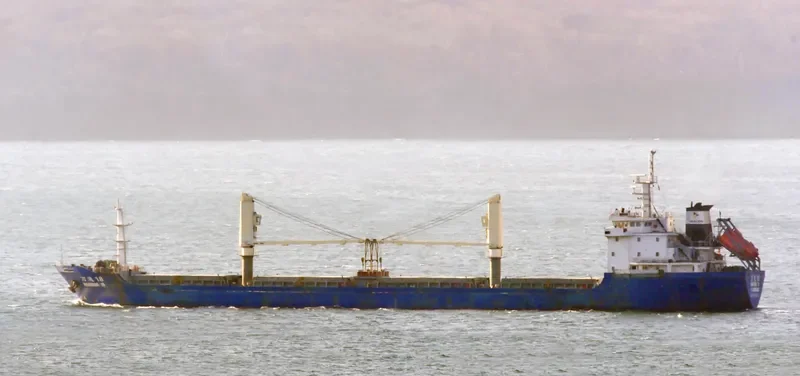 WAN TONG 18 Bulk Carrier IMO 9665944