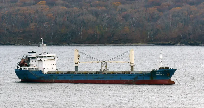 WAN TONG 18 Bulk Carrier IMO 9665944 photo 3