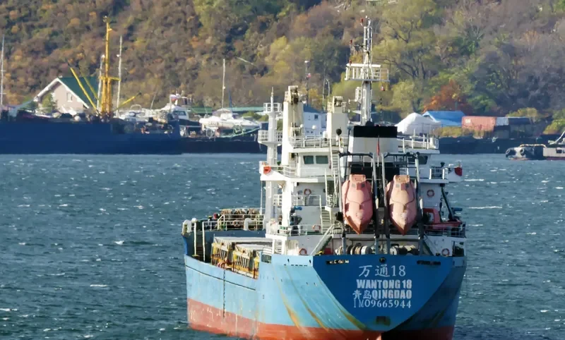 WAN TONG 18 Bulk Carrier IMO 9665944 photo 7