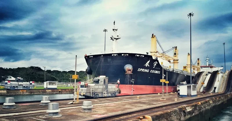 SPRING COSMOS Bulk Carrier IMO 9666027