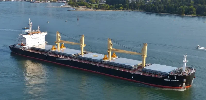 SPRING COSMOS Bulk Carrier IMO 9666027 photo 2