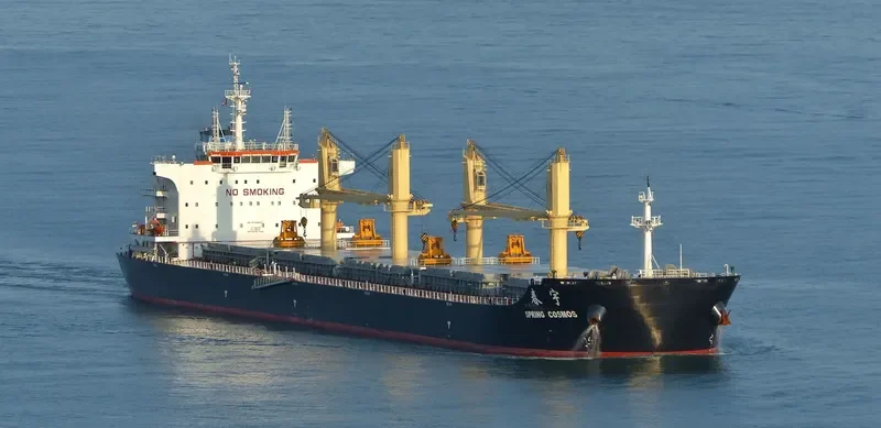 SPRING COSMOS Bulk Carrier IMO 9666027 photo 3