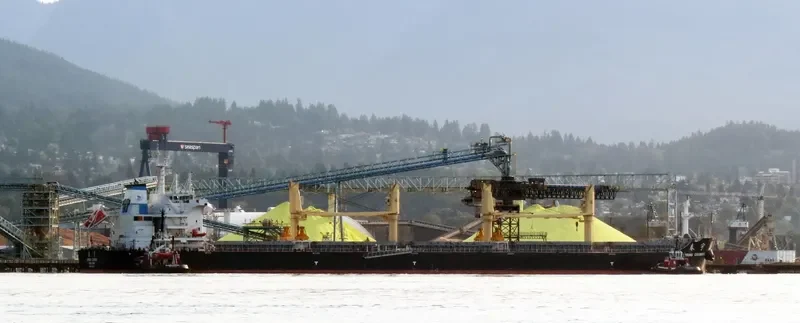 SPRING COSMOS Bulk Carrier IMO 9666027 photo 4
