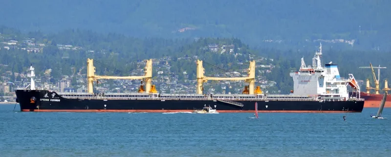SPRING COSMOS Bulk Carrier IMO 9666027 photo 5
