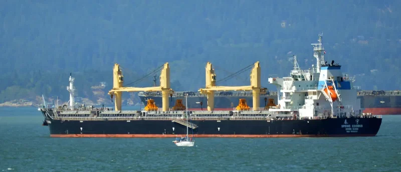 SPRING COSMOS Bulk Carrier IMO 9666027 photo 6