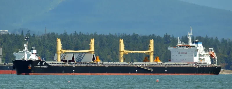 SPRING COSMOS Bulk Carrier IMO 9666027 photo 7