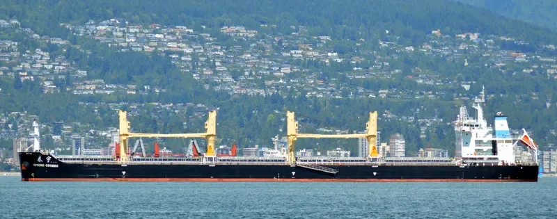 SPRING COSMOS Bulk Carrier IMO 9666027 photo 8