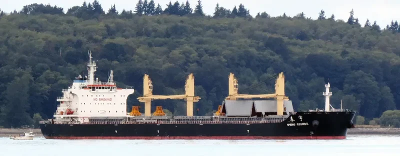 SPRING COSMOS Bulk Carrier IMO 9666027 photo 9
