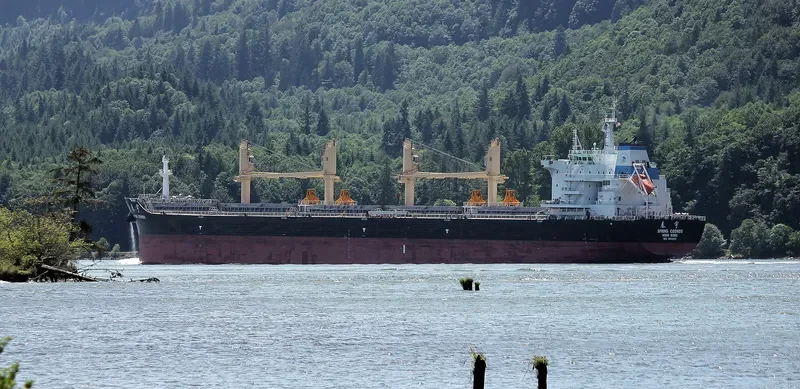 SPRING COSMOS Bulk Carrier IMO 9666027 photo 10
