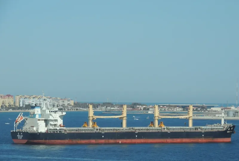 SPRING OASIS Bulk Carrier IMO 9666039