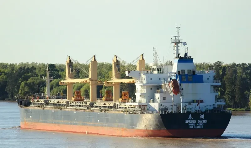 SPRING OASIS Bulk Carrier IMO 9666039 photo 2