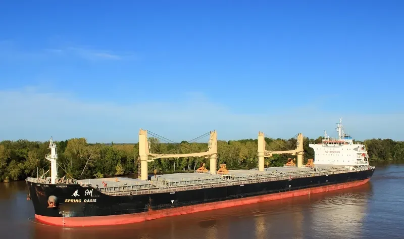 SPRING OASIS Bulk Carrier IMO 9666039 photo 4
