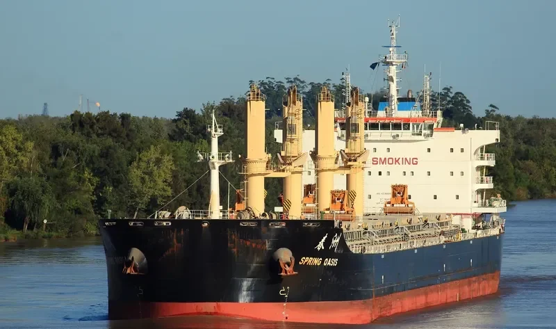 SPRING OASIS Bulk Carrier IMO 9666039 photo 5