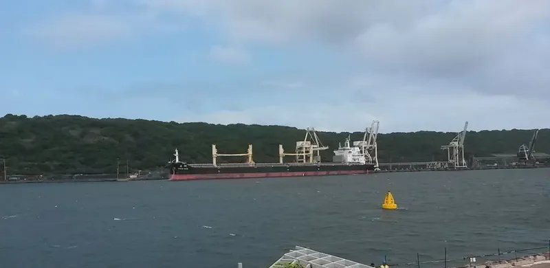 SPRING OASIS Bulk Carrier IMO 9666039 photo 6