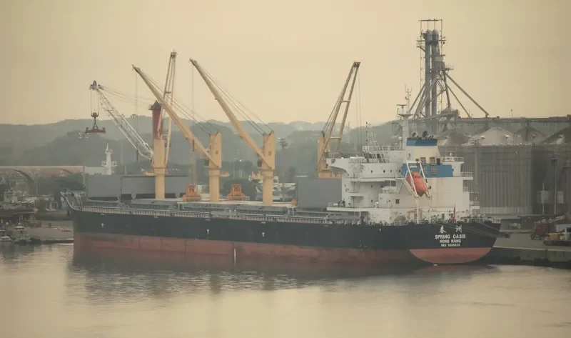 SPRING OASIS Bulk Carrier IMO 9666039 photo 7