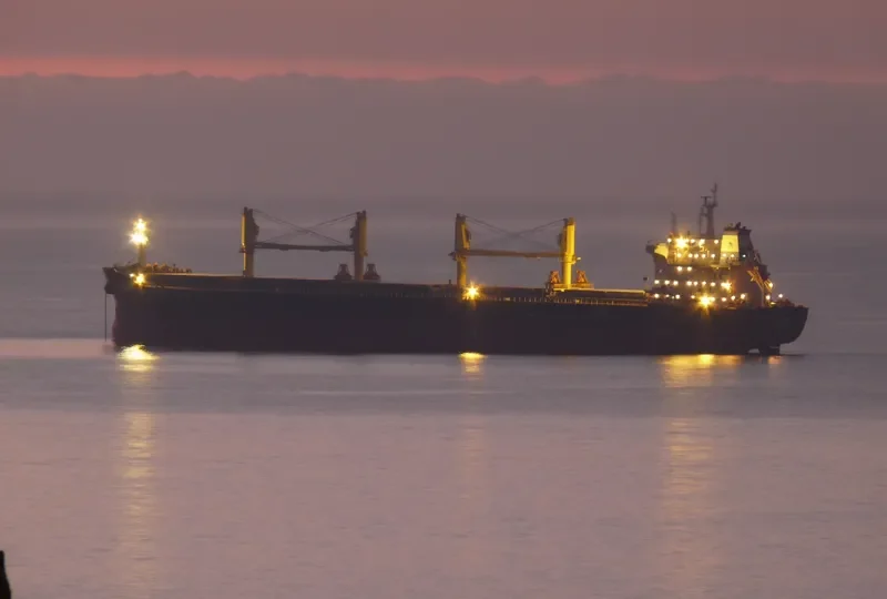 SPRING RAINBOW Bulk Carrier IMO 9666041