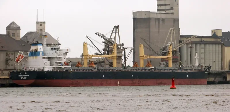 SPRING RAINBOW Bulk Carrier IMO 9666041 photo 3