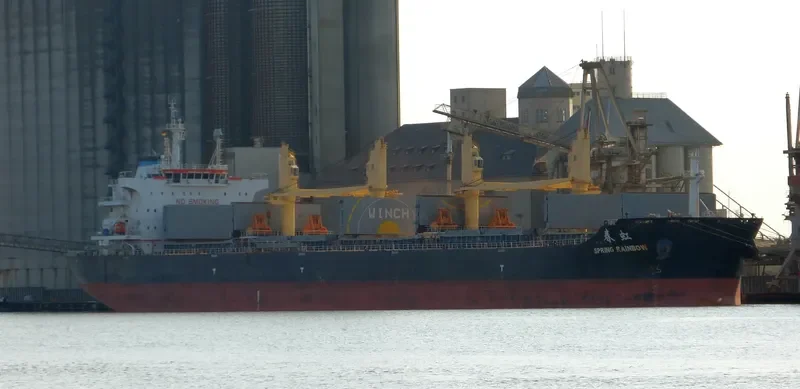 SPRING RAINBOW Bulk Carrier IMO 9666041 photo 4
