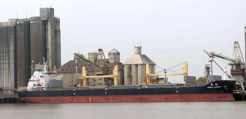 SPRING RAINBOW Bulk Carrier IMO 9666041 photo 5