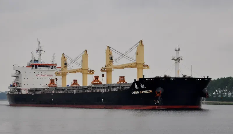 SPRING RAINBOW Bulk Carrier IMO 9666041 photo 6