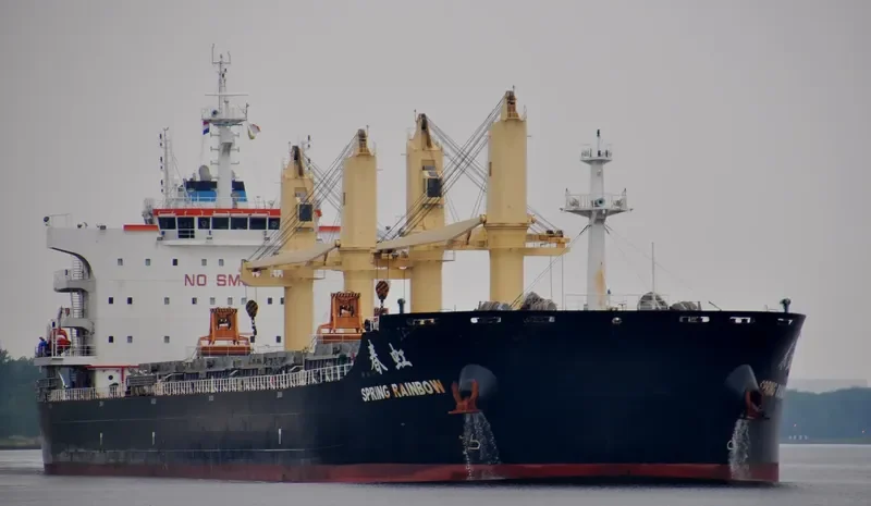 SPRING RAINBOW Bulk Carrier IMO 9666041 photo 8