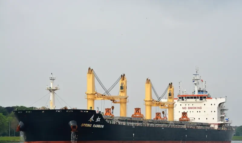 SPRING RAINBOW Bulk Carrier IMO 9666041 photo 9