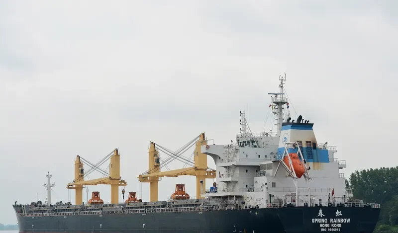SPRING RAINBOW Bulk Carrier IMO 9666041 photo 10