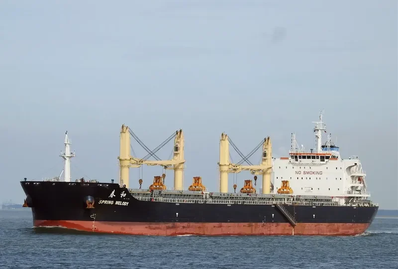SPRING MELODY Bulk Carrier IMO 9666053