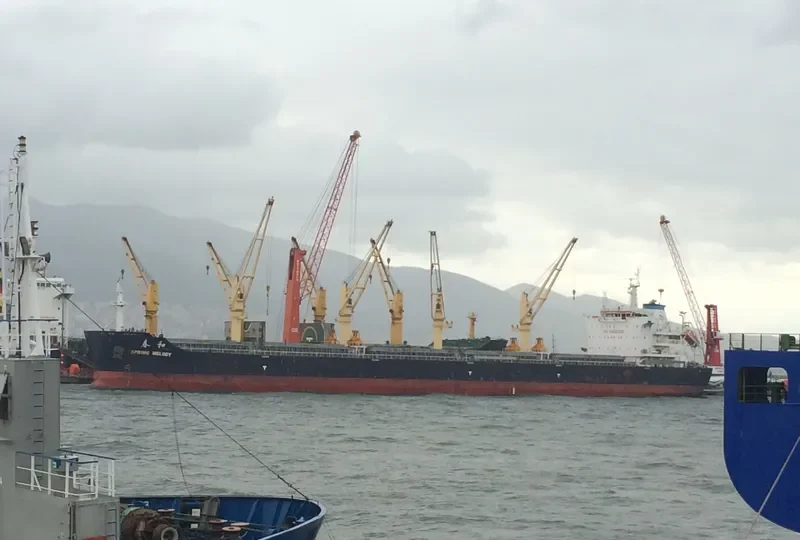 SPRING MELODY Bulk Carrier IMO 9666053 photo 2