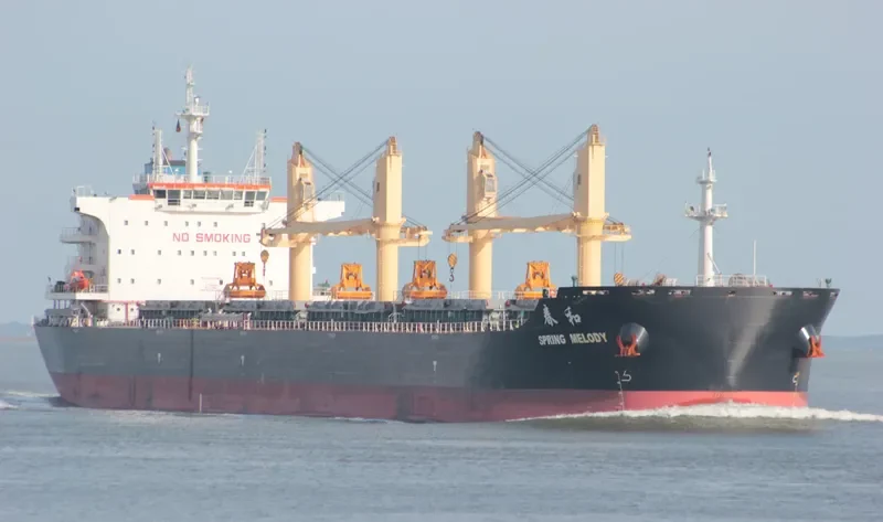SPRING MELODY Bulk Carrier IMO 9666053 photo 3