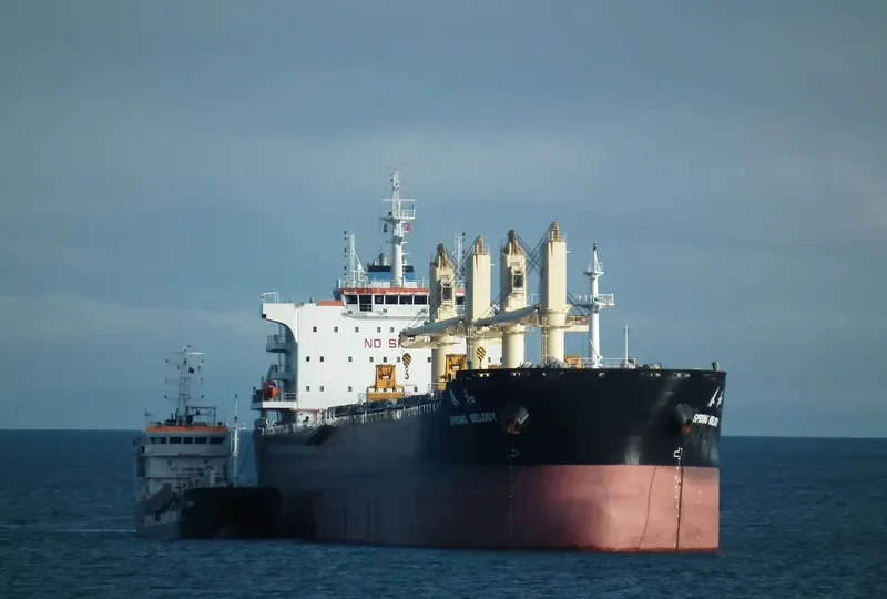 SPRING MELODY Bulk Carrier IMO 9666053 photo 5