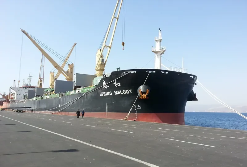 SPRING MELODY Bulk Carrier IMO 9666053 photo 6
