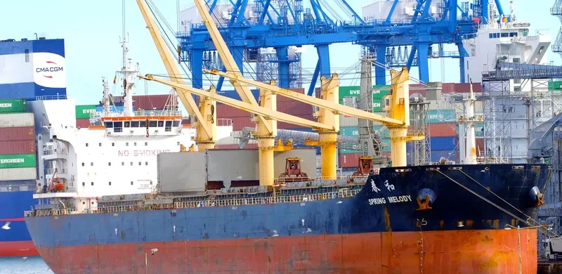 SPRING MELODY Bulk Carrier IMO 9666053 photo 7