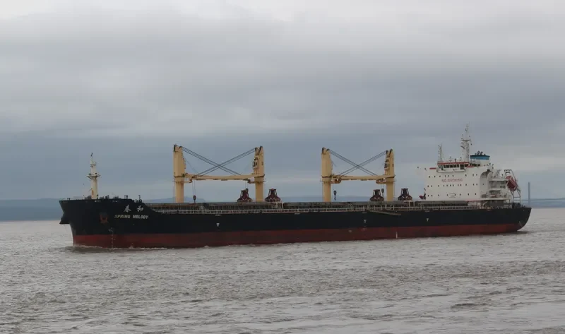 SPRING MELODY Bulk Carrier IMO 9666053 photo 8