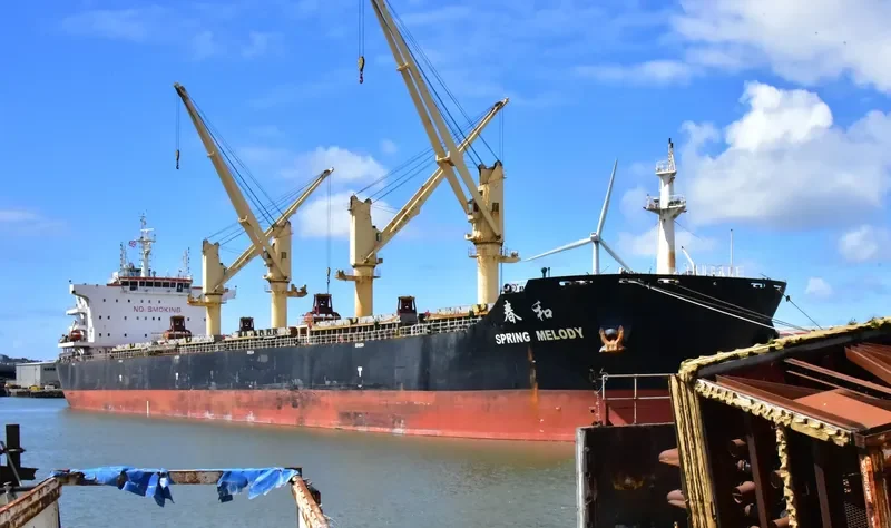 SPRING MELODY Bulk Carrier IMO 9666053 photo 9