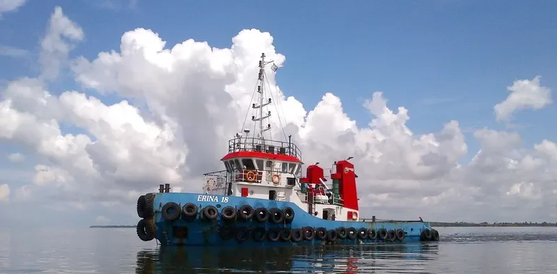 ERINA 18 General Cargo IMO 9666156