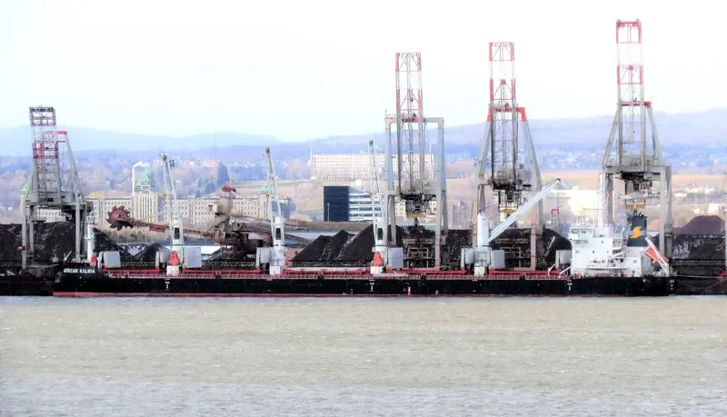 AFRICAN KALMIA Bulk Carrier IMO 9666431