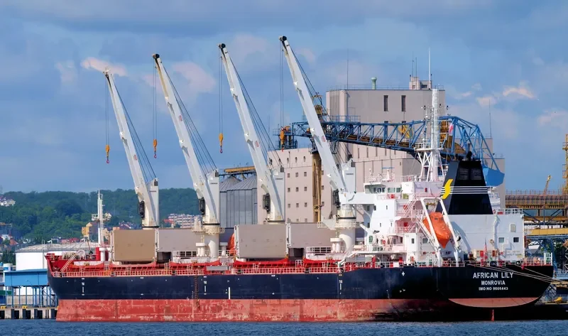AFRICAN LILY Bulk Carrier IMO 9666443