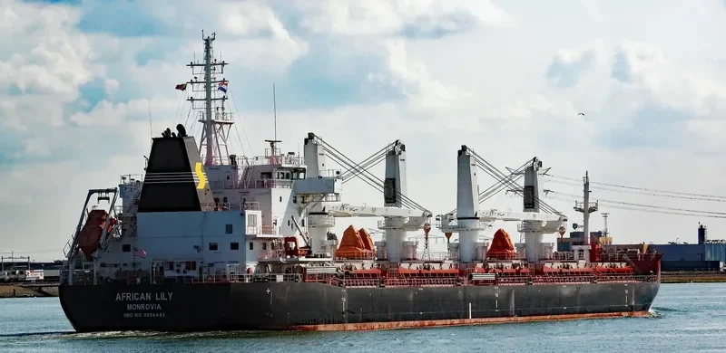 AFRICAN LILY Bulk Carrier IMO 9666443 photo 2