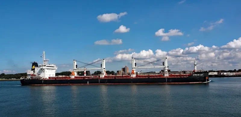 AFRICAN LILY Bulk Carrier IMO 9666443 photo 3