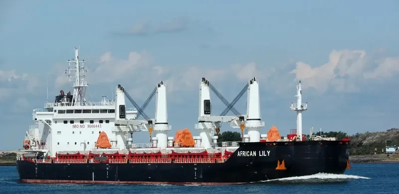 AFRICAN LILY Bulk Carrier IMO 9666443 photo 4