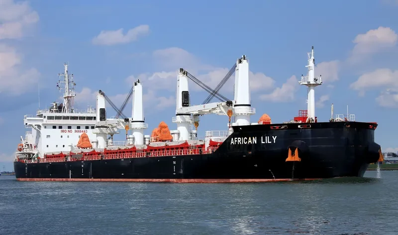 AFRICAN LILY Bulk Carrier IMO 9666443 photo 5
