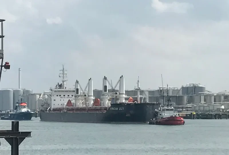 AFRICAN LILY Bulk Carrier IMO 9666443 photo 6