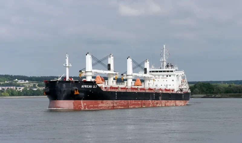 AFRICAN LILY Bulk Carrier IMO 9666443 photo 7